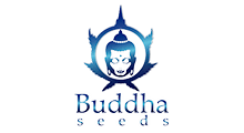 Buddha Seeds.jpg