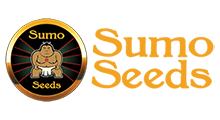 Sumo Seeds семена конопли