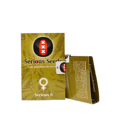 Сорт Serious 6 fem (Serious Seeds)