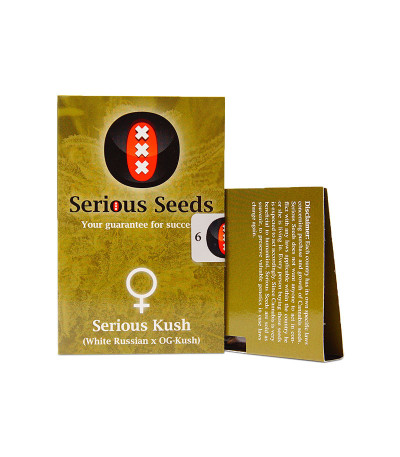 Сорт Serious Kush fem (Serious Seeds)