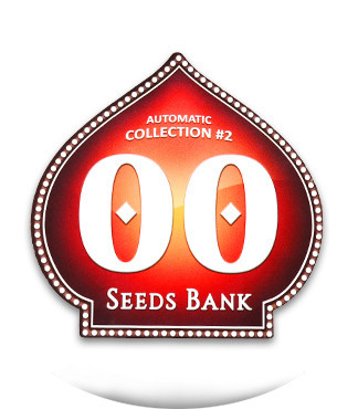 Микс семян Auto Collection #2 (00 Seeds)